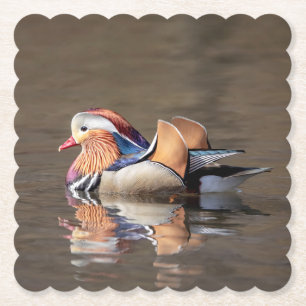 Mandarin Duck Paper Coaster