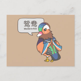 Mandarin Duck Postcard
