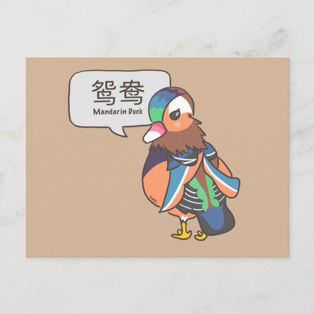 Mandarin Duck Postcard (Front)