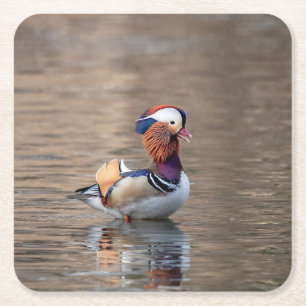 Mandarin Duck Square Paper Coaster