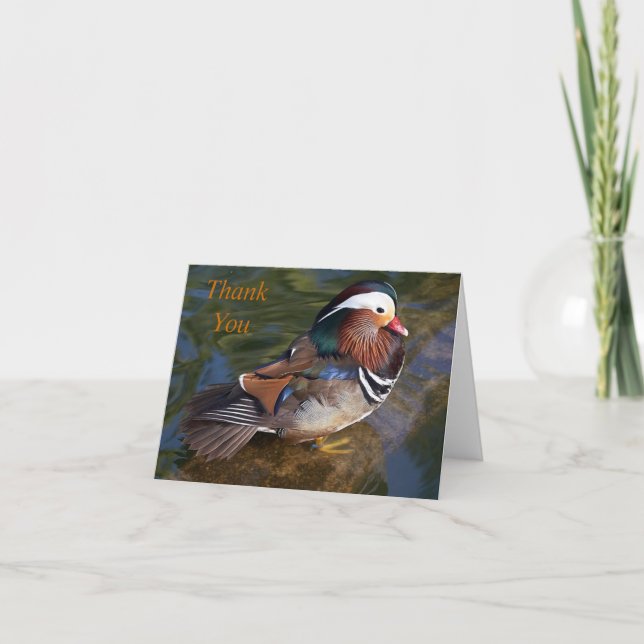 mandarin duck thank you note card (Front)