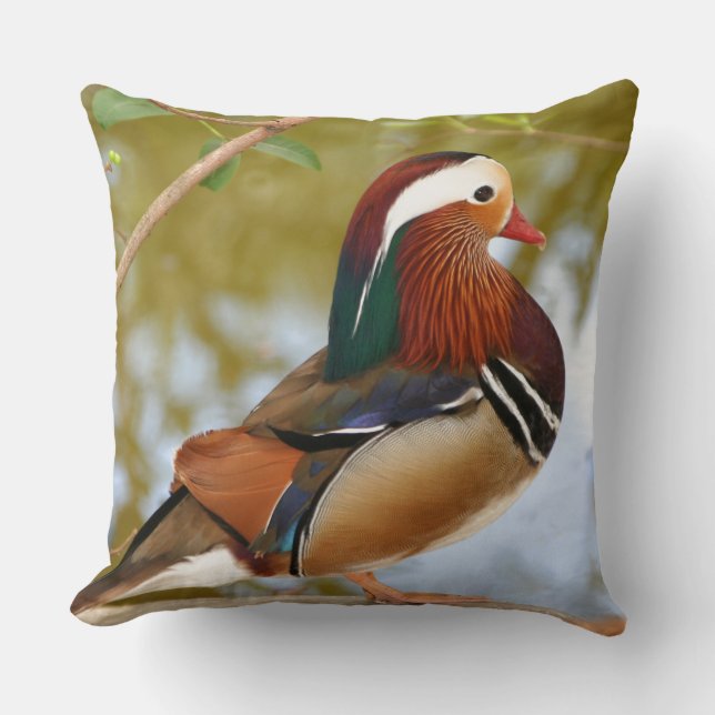 Mandarin Duck Throw Pillow (Front)