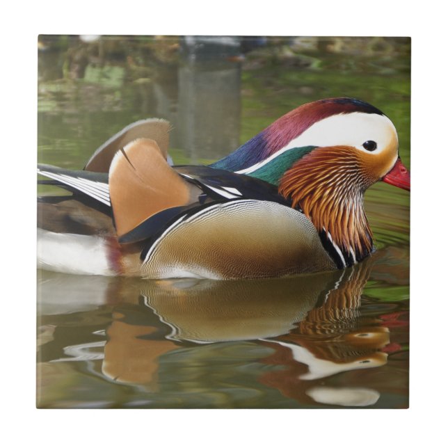 mandarin duck tile (Front)