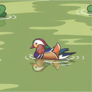 Mandarin Duck up close sticker