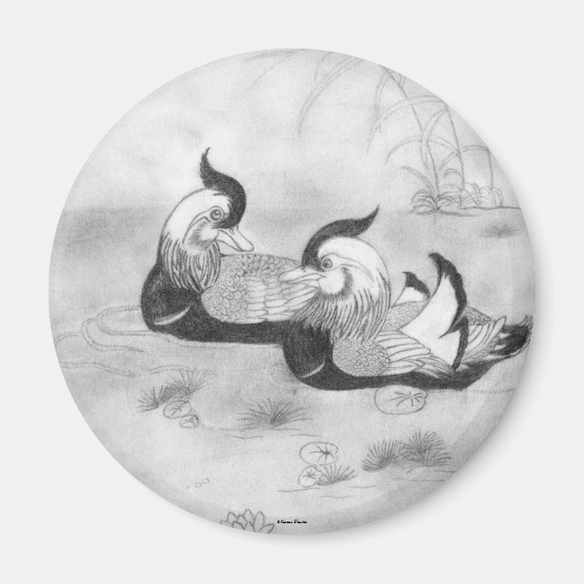 Mandarin Ducks Magnet (Front)