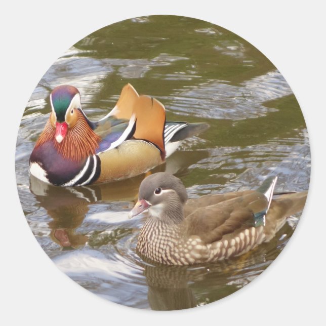 Mandarin Ducks Sticker (Front)