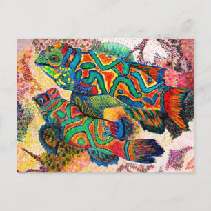 Mandarin Fish Art Postcard