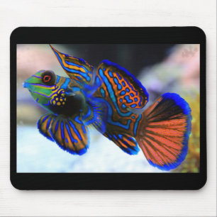 Mandarin Fish Mouse Pad