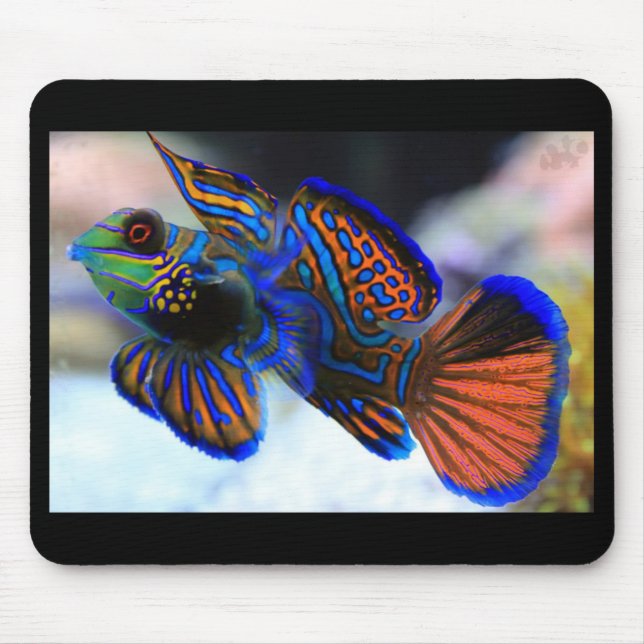 Mandarin Fish Mouse Pad (Front)