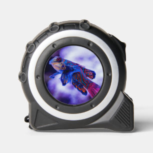 Mandarin Goby Fish 1