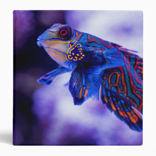 Mandarin Goby Fish 3 Ring Binder