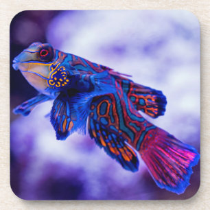 Mandarin Goby Fish Beverage Coaster