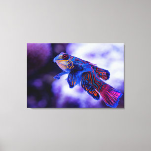 Mandarin Goby Fish Canvas Print