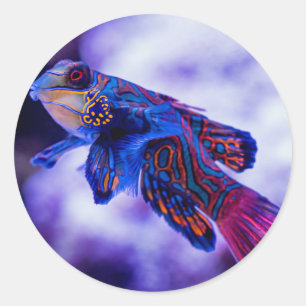 Mandarin Goby Fish Classic Round Sticker