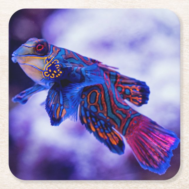 Mandarin Goby Fish Square Paper Coaster (Front)