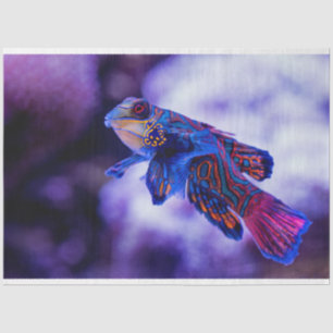 Mandarin Goby Fish Tissue Paper