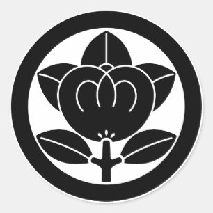 Mandarin orange in circle classic round sticker