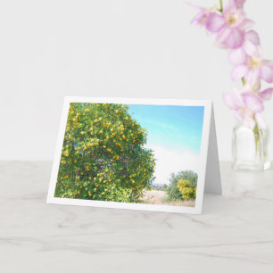 Mandarin Orange Tree Portrait Card