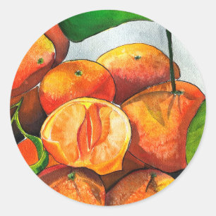Mandarin orange watercolor fruit art classic round sticker