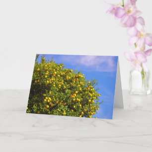 Mandarin Oranges Portrait Card