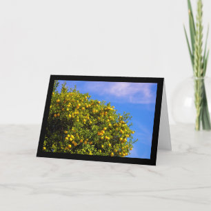Mandarin Tree under Blue Sky Card