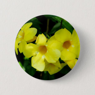 Mandevilla.JPG 2 Inch Round Button