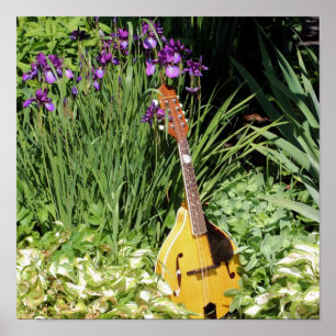 Mandolin And Iris Flower Garden   Poster