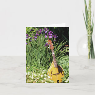 Mandolin And Irises Flower Garden  Note Card