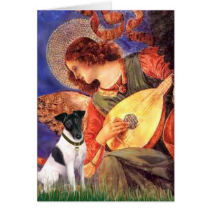 Mandolin Angel - Récit de renard lisse