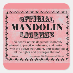 Mandolin License Square Sticker
