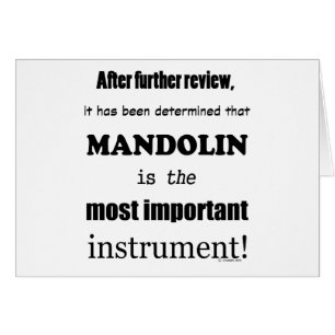 Mandolin Most Important Instrument