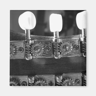 Mandolin Tuning Pegs Magnet