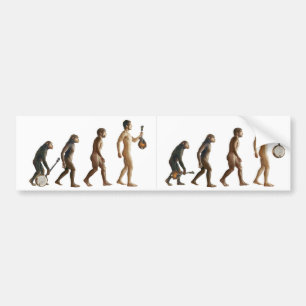 Mandolution Bumper Sticker