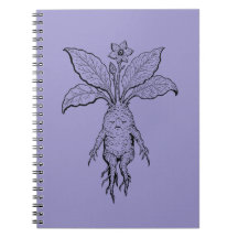 Mandrake Notebook