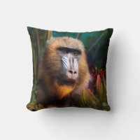 Mandril Baboon MASK IN THE JUNGLE