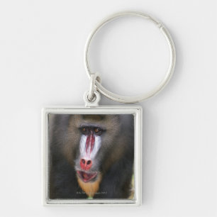 Mandril (Mandrillus sphinx) close up Keychain