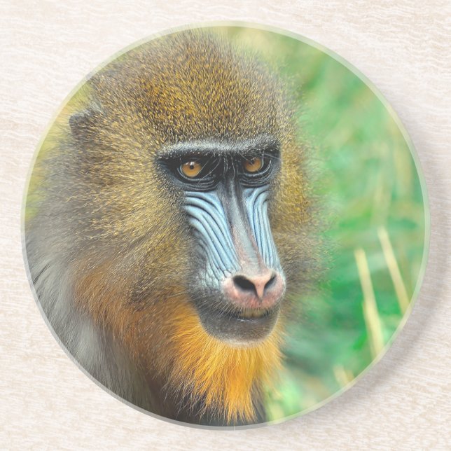 Mandrill 002 coaster (Front)