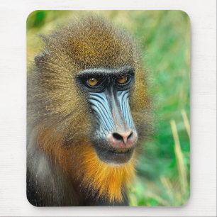 Mandrill 002 mouse pad