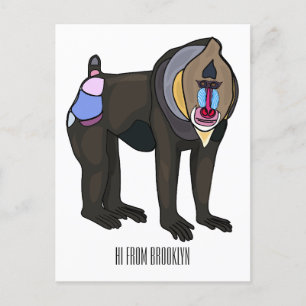 Mandrill cartoon illustration postcard