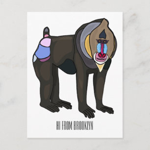 Mandrill cartoon illustration postcard