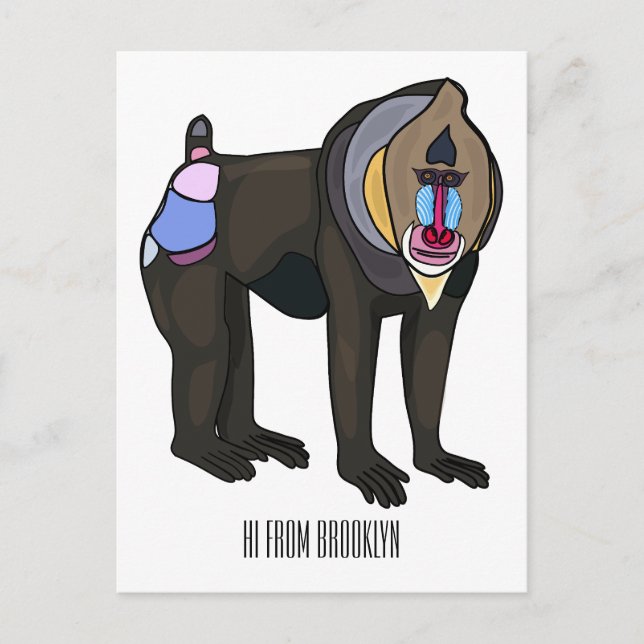 Mandrill cartoon illustration postcard (Front)