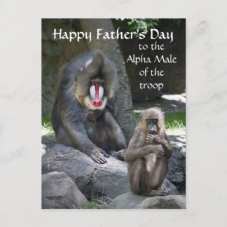 Mandrill Monkey Father's Day postcard
