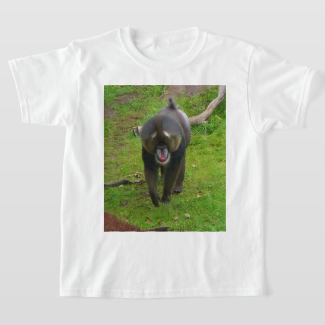 Mandrill T-shirt (Laydown)