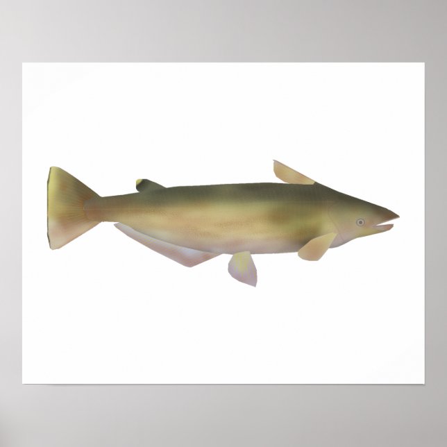 Manduba Poster (Front)