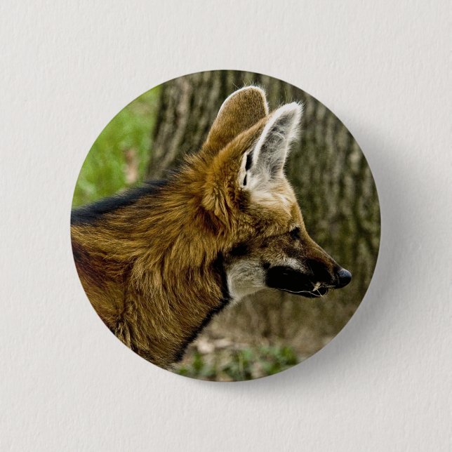 Maned Wolf  1529 Button (Front)