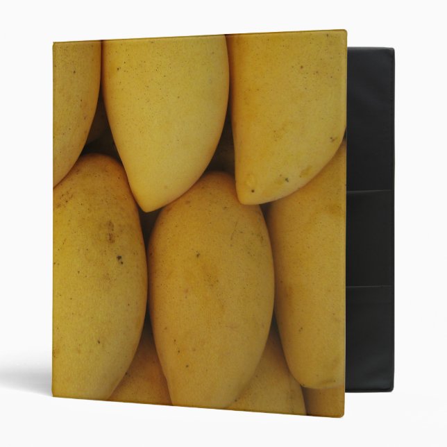 Mango Binder (Front/Inside)