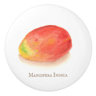 Mango! ceramic knob