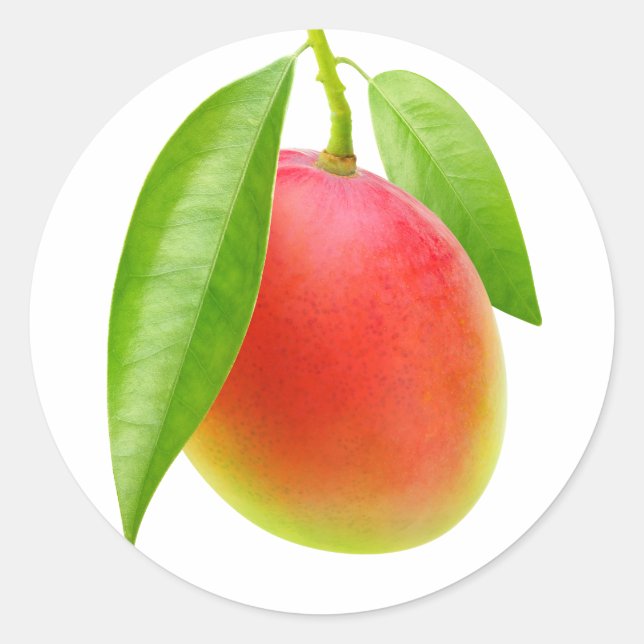 Mango Classic Round Sticker (Front)