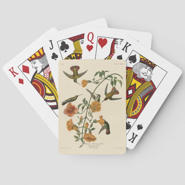 Mango Hummingbird from Audubon's Birds of America Playing Cards (Back)