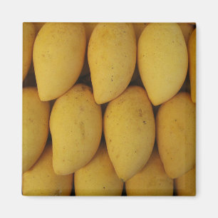 Mango Magnet